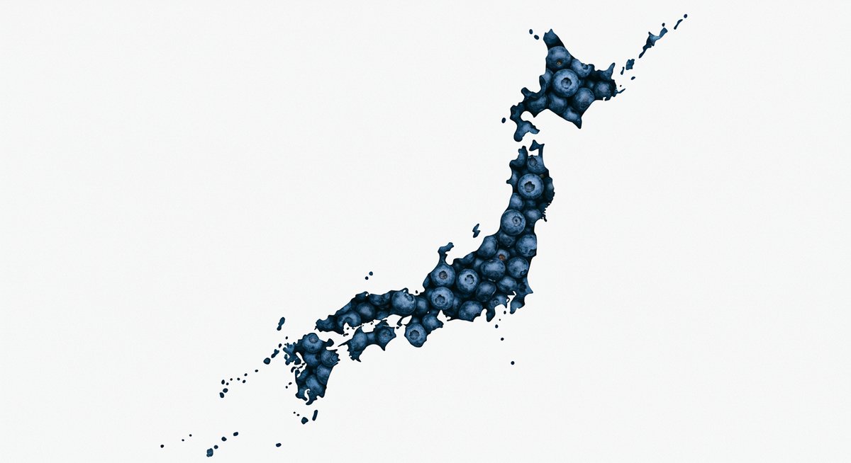ブルーベリー 生産 量 日本 一