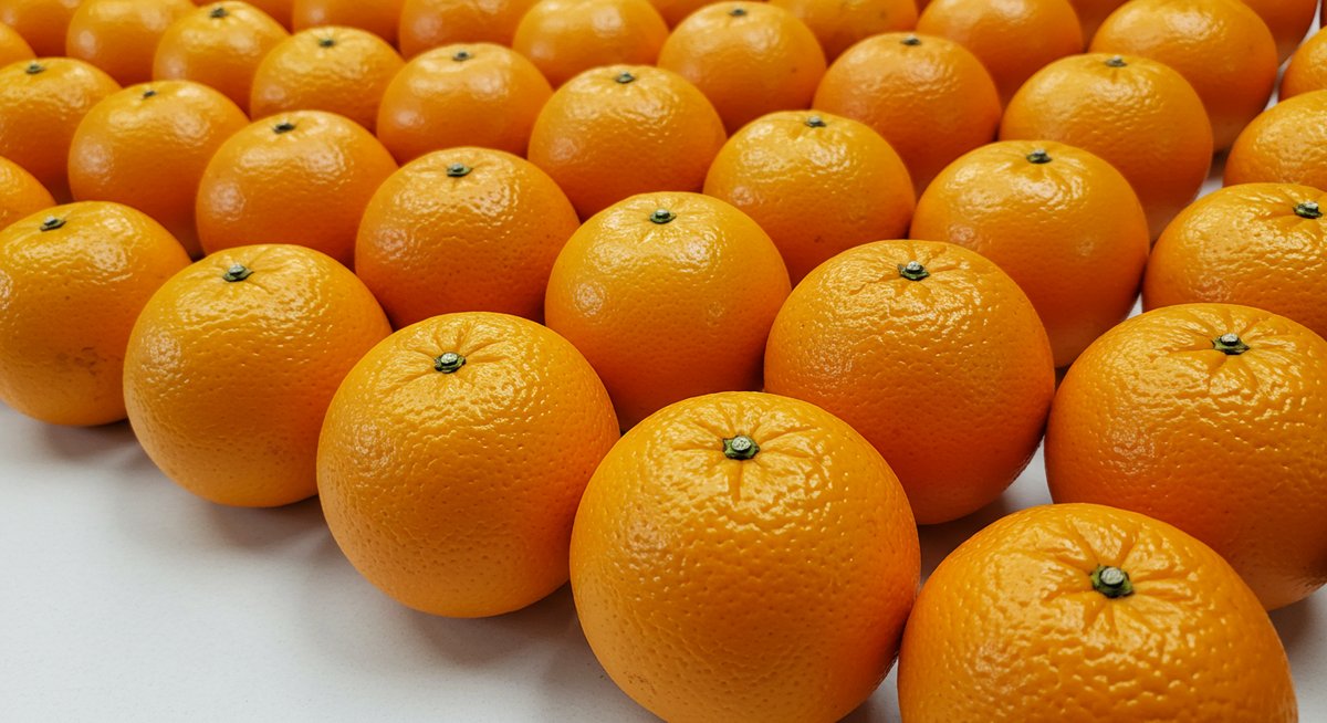 オレンジ 生産 量 世界