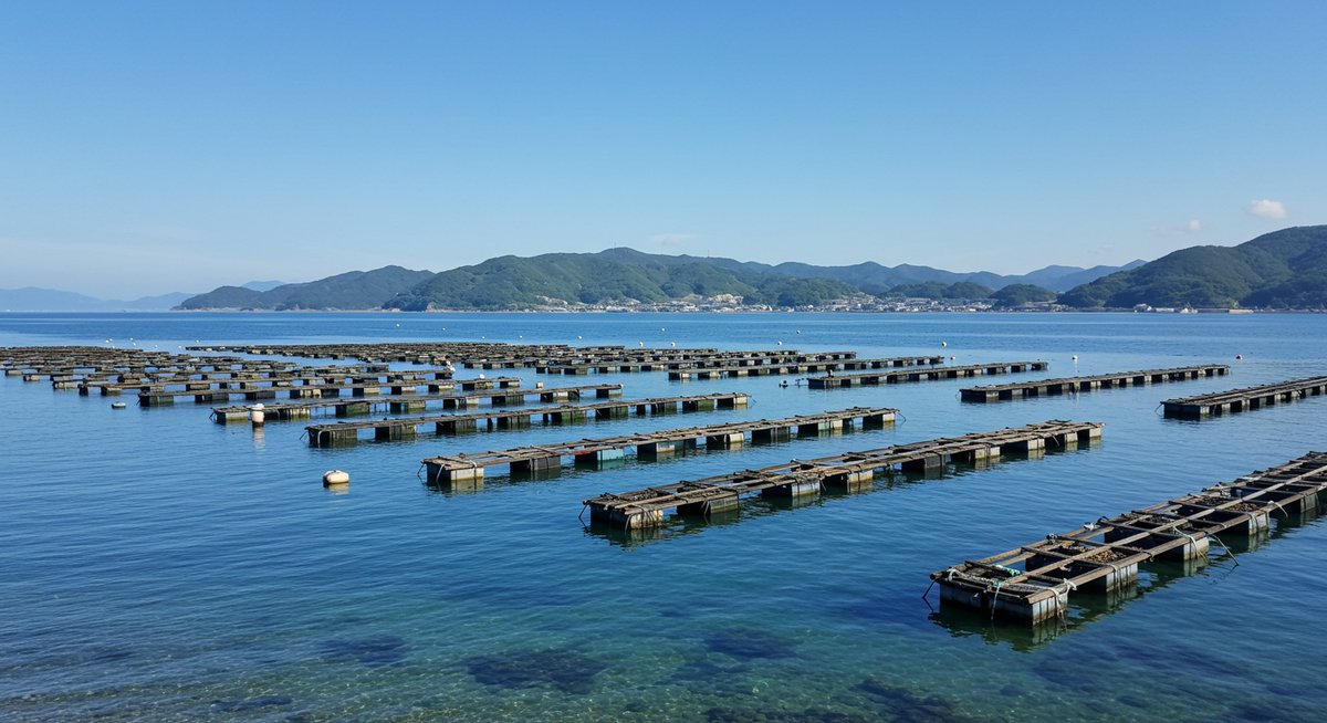 牡蠣 生産 量 ランキング