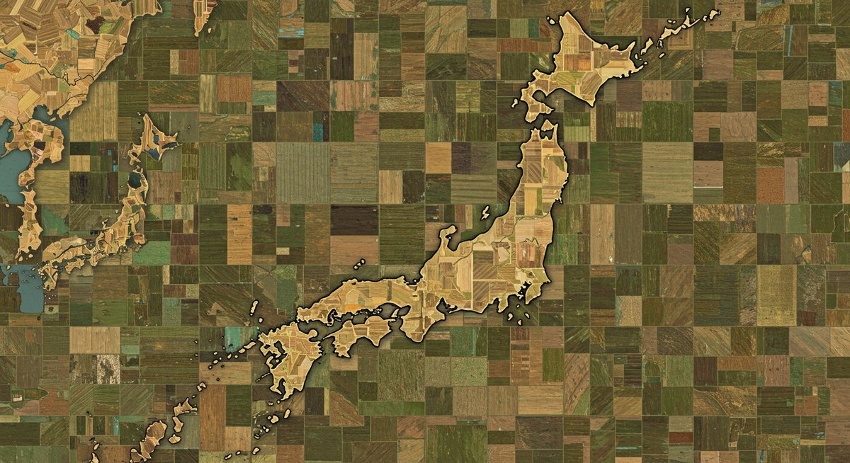 トウモロコシ 生産 量 日本